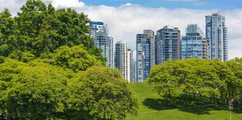 Urban greenness