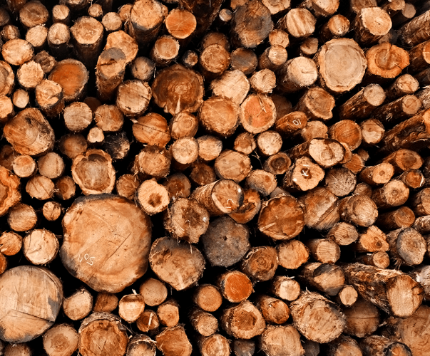 Wood
