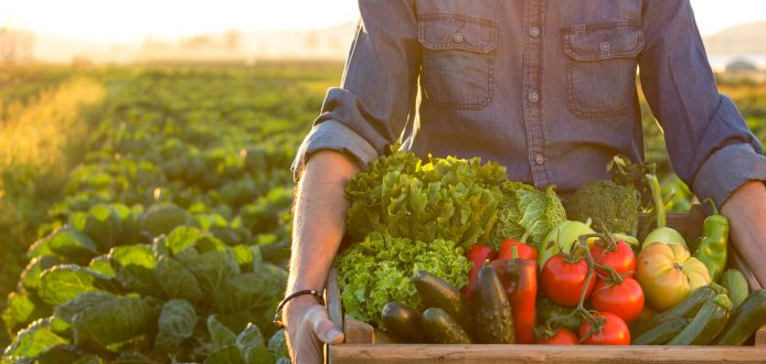 Industries agricole et agroalimentaire 
