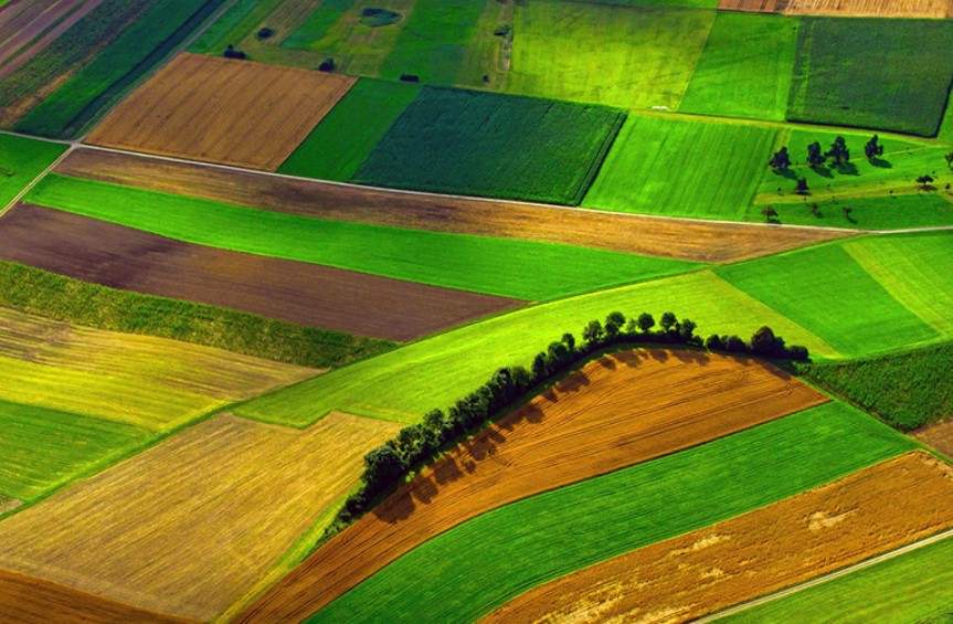 Overview of crop field