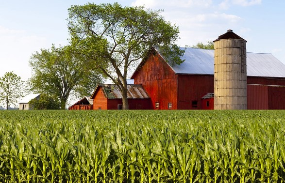 A farm