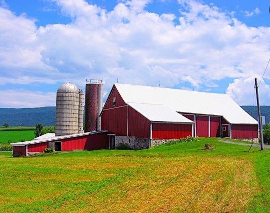 Farm