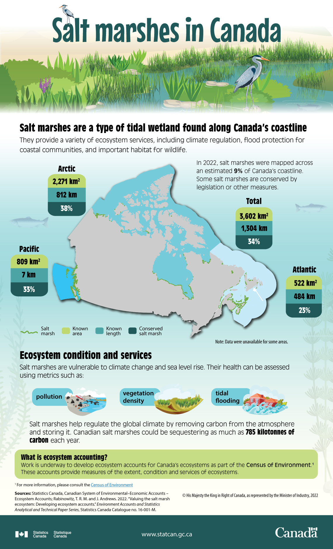 Salt marshes in Canada