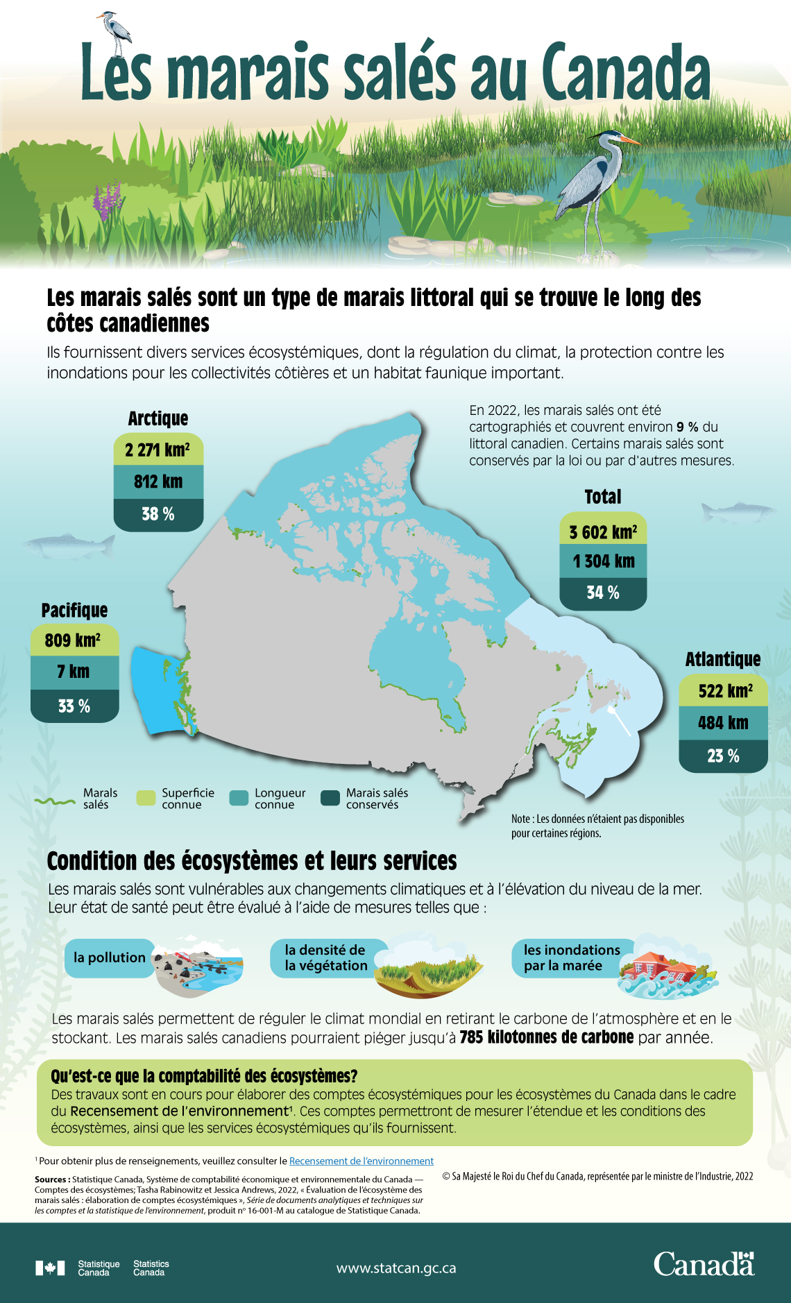 Les marais salés au Canada